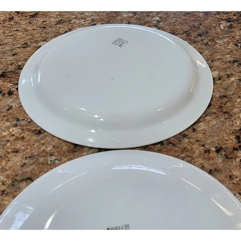 Corelle Cinnamon Chestnut Set of 2 Plates 8 1/2